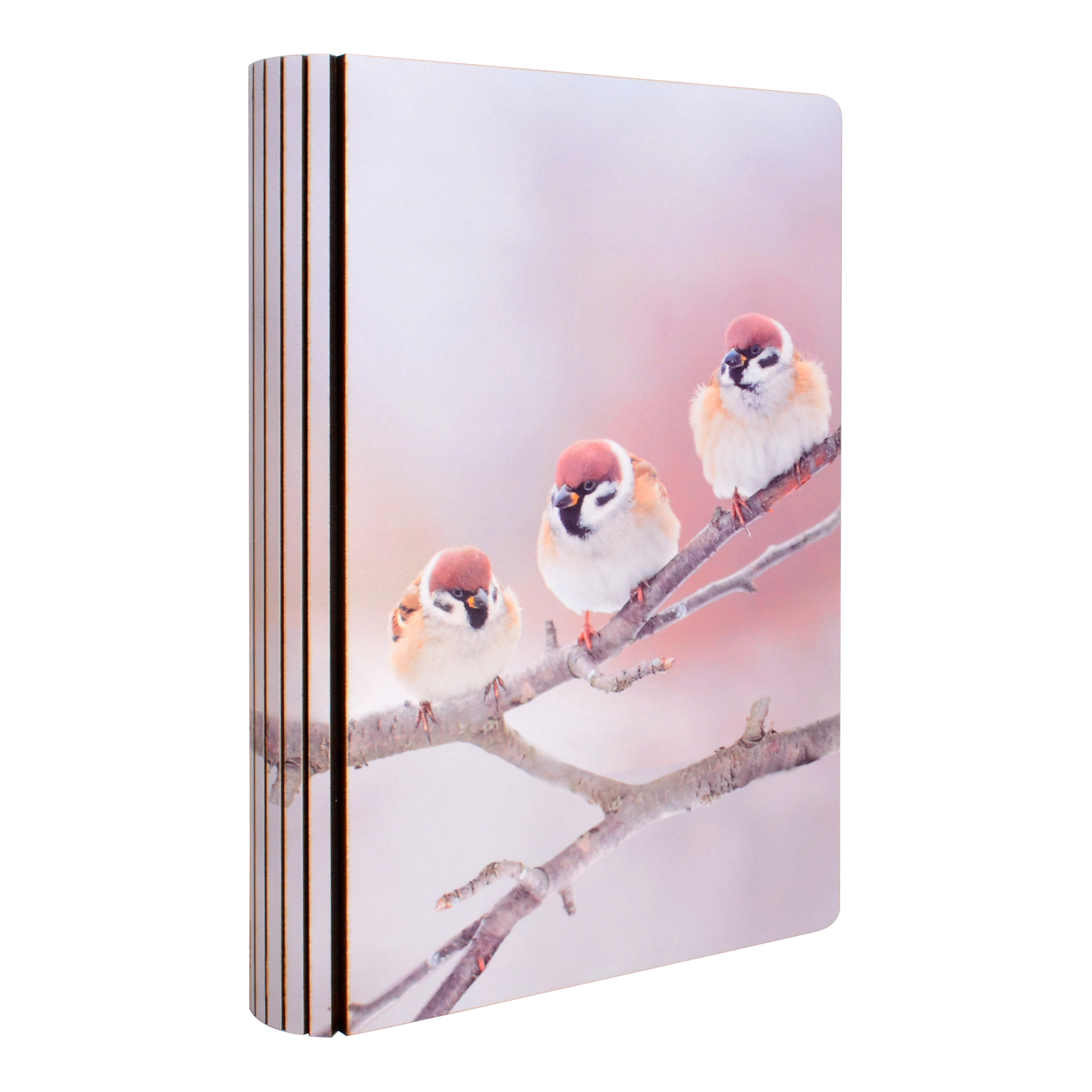 Caixa Livro de madeira Pássaro